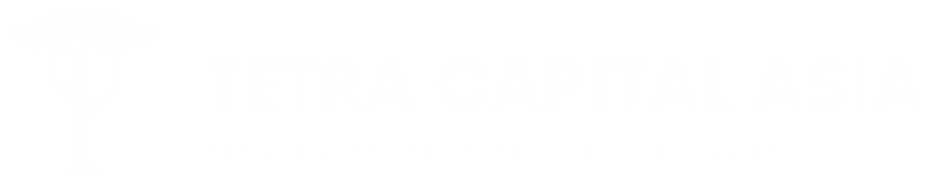 Tetra Capital Asia